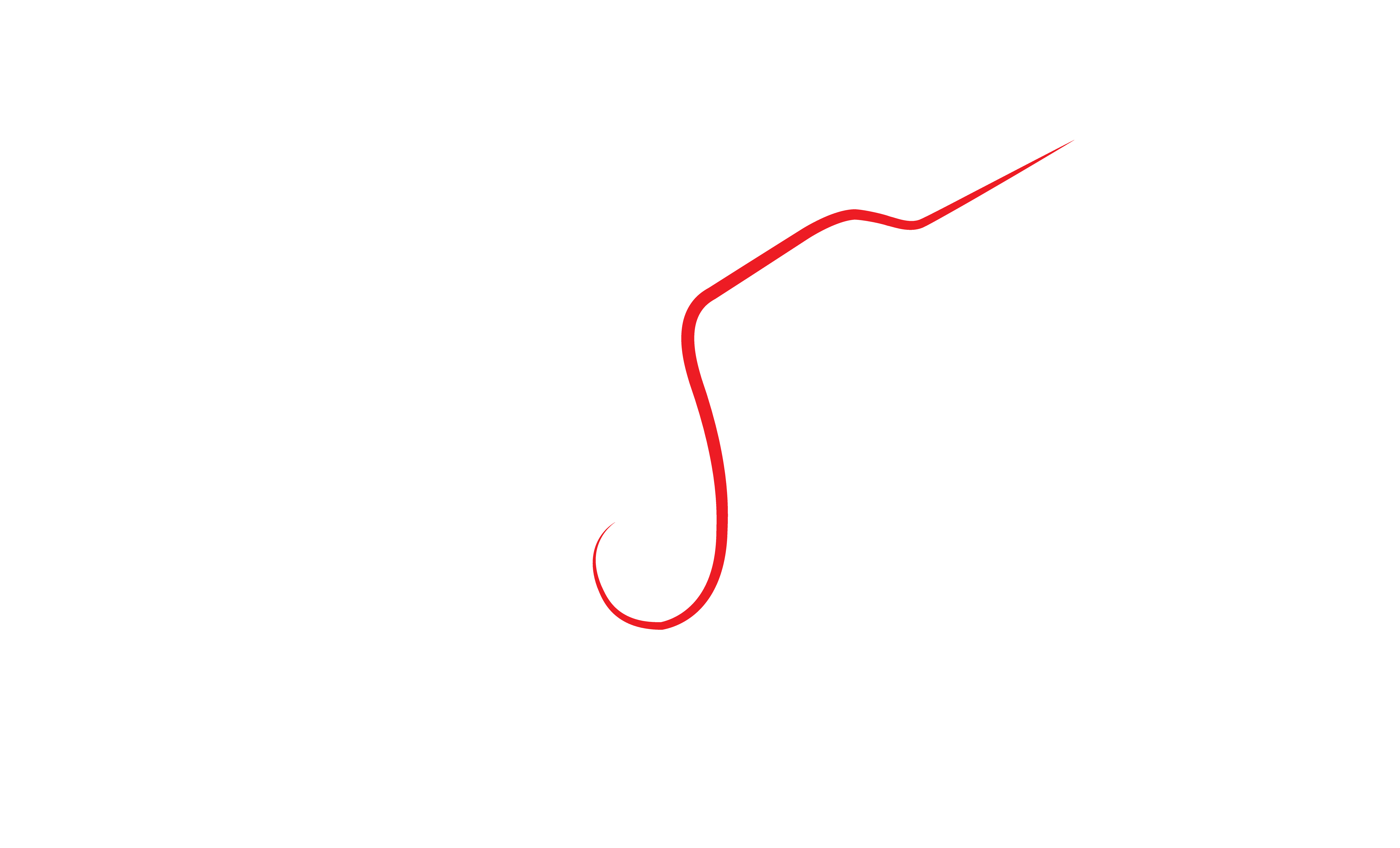 Primitivo Wine Shop